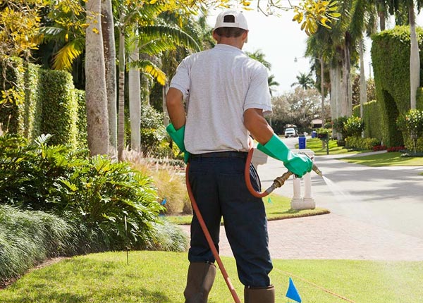 About Sebastian FL Pest Control